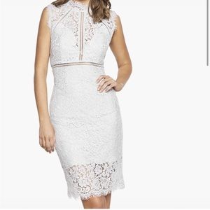 Bardot NWT lace panel dress in ivory size 12 or XL